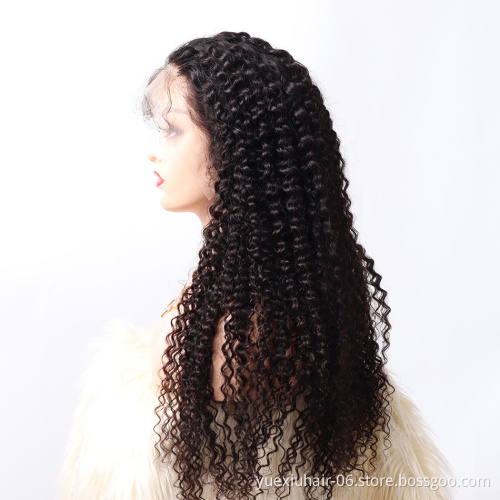 HD Lace Full Virgin Brazilian Human Hair Wigs curly Transparent Lace Front Human Hair Wigs for Black Women